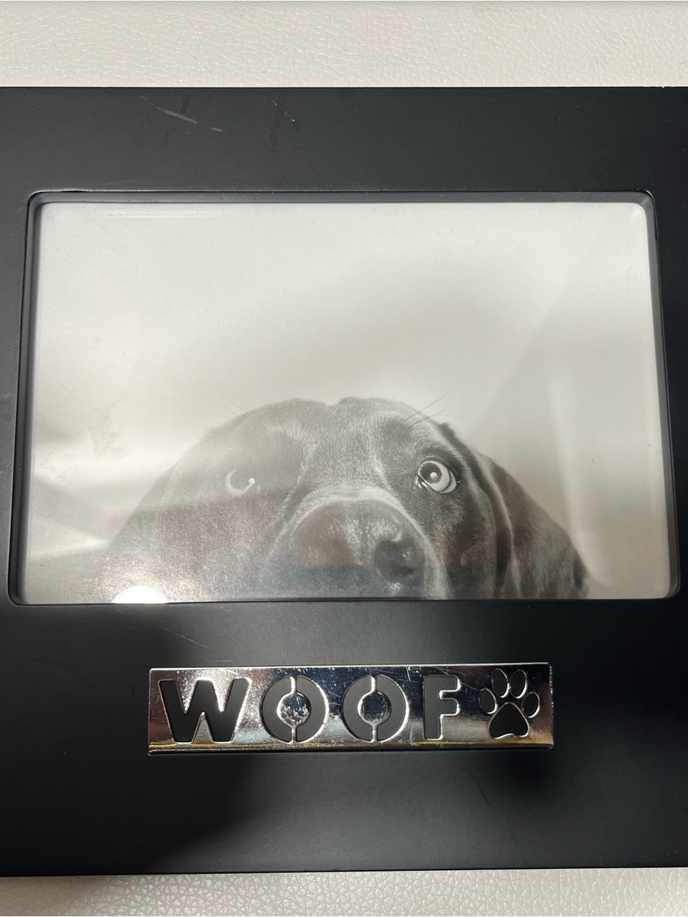 Black Pet Photo Frame - Stylish Dog Picture Display